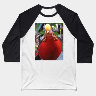 Golden Pheasant Baseball T-Shirt